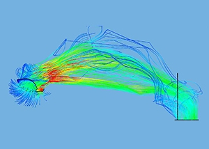 Image of streamlines in the nasal cavity.