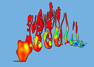 Image of the humidity field displayed in anatomical cuts of the nasal cavity.