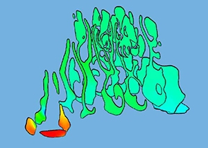 Image of the pressure field displayed in anatomical cuts of the nasal cavity.