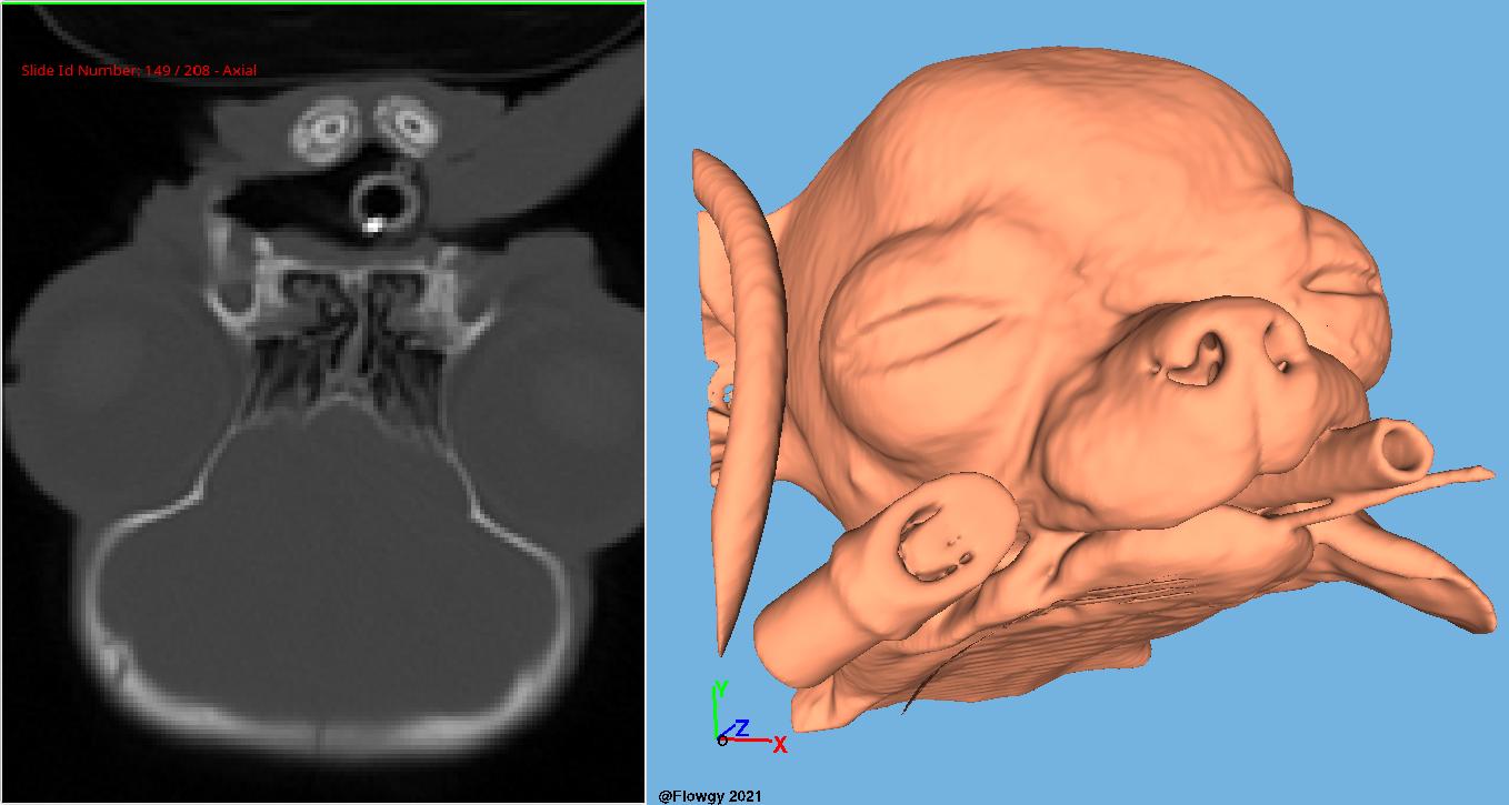 Study Case, Public University of Navarre.