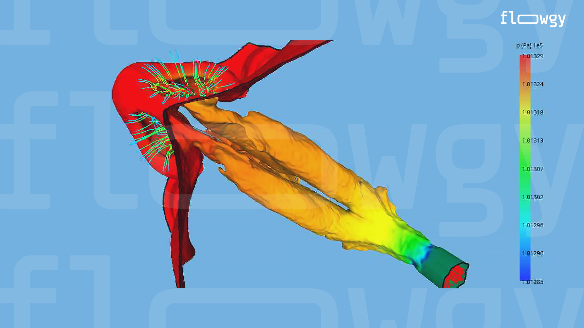 Image of the pressure field in the nasal cavity after CFD analysis by Flowgy.