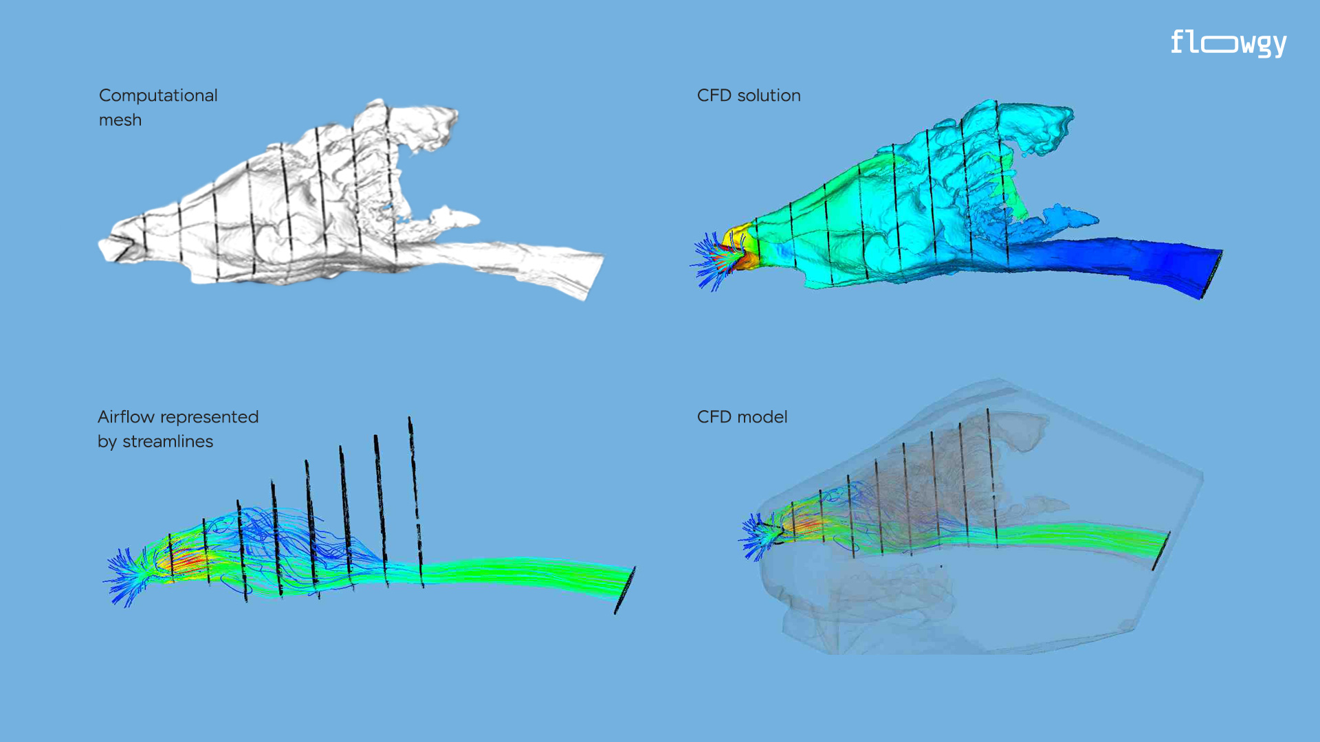Computational Mesh and CFD Solution provide by Flowgy Innovation.